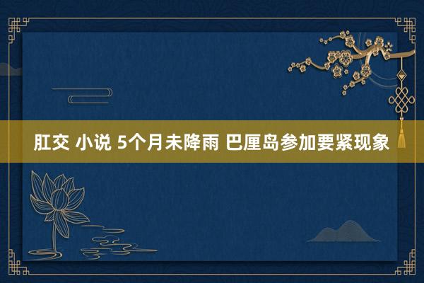 肛交 小说 5个月未降雨 巴厘岛参加要紧现象