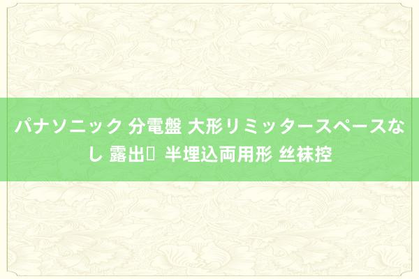 パナソニック 分電盤 大形リミッタースペースなし 露出・半埋込両用形 丝袜控