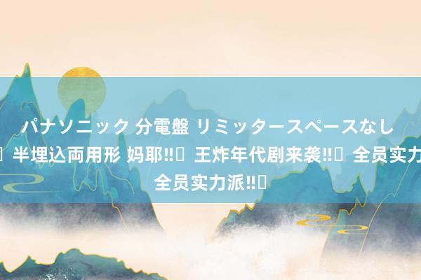 パナソニック 分電盤 リミッタースペースなし 露出・半埋込両用形 妈耶‼️王炸年代剧来袭‼️全员实力派‼️