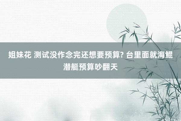 姐妹花 测试没作念完还想要预算? 台里面就海鲲潜艇预算吵翻天