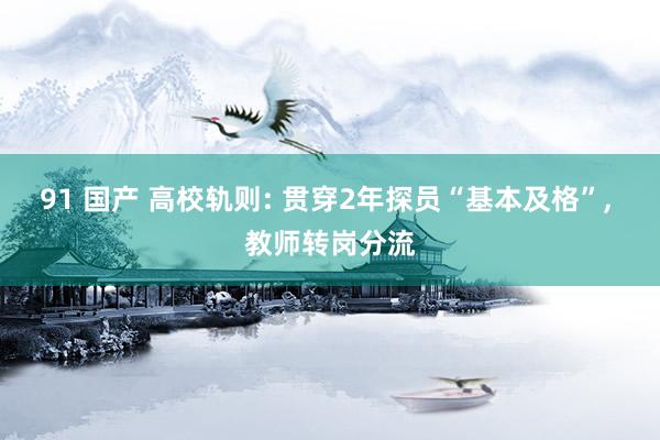 91 国产 高校轨则: 贯穿2年探员“基本及格”， 教师转岗分流
